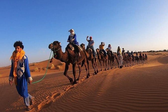 Imagen del tour: Experiencia de paseo en camello