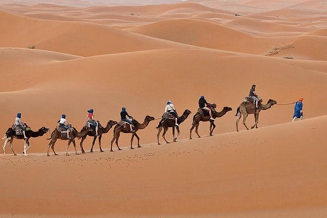 Imagen del tour: Viaje de 2 días al desierto desde Fez