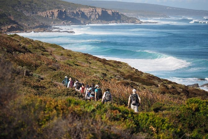 Imagen del tour: Excursión guiada a pie por el Cabo a Cabo de 8 días a pie desde Perth