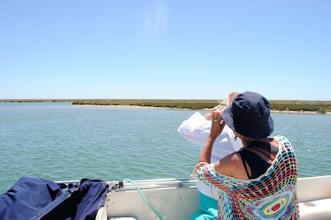 Imagen del tour: Paseo en Barco de 2 horas para Observación de Aves en la Ria Formosa del Algarve desde Faro