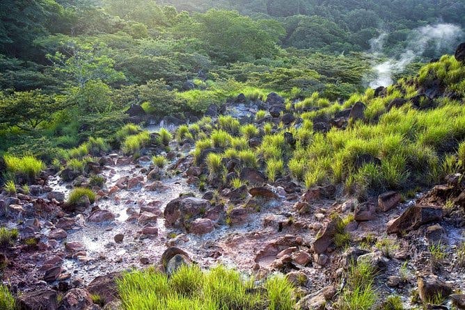 Imagen del tour: Tour de caminata y nado en cascada en el volcán Rincón de la Vieja