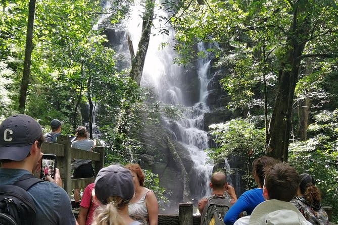 Imagen del tour: Parque Nacional Rincon de la Vieja