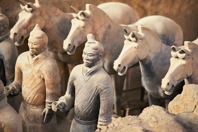 Imagen del tour: Viaje privado de Zhengzhou a los guerreros de terracota de Xi'an y al muro de la ciudad en tren bala