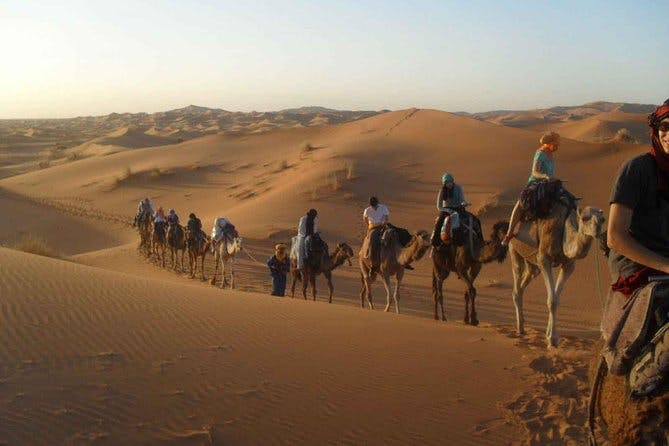 Imagen del tour: Marruecos: excursiones por el desierto de Marrakech a Fez 3 días