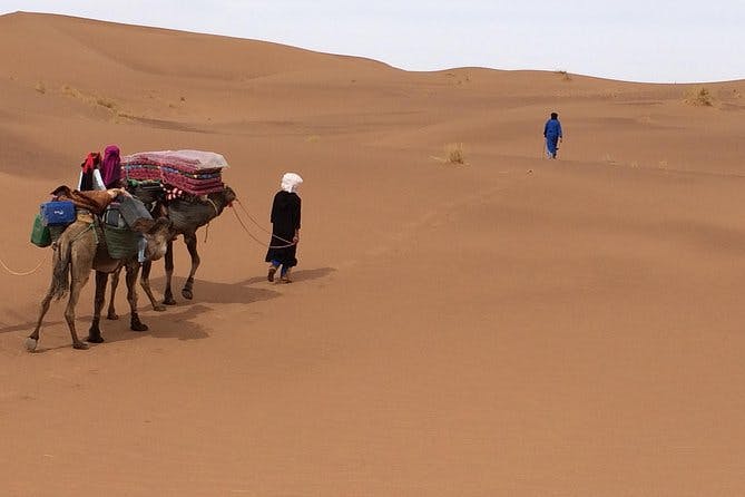 Imagen del tour: Camello Trekking la 'Puerta al Desierto'