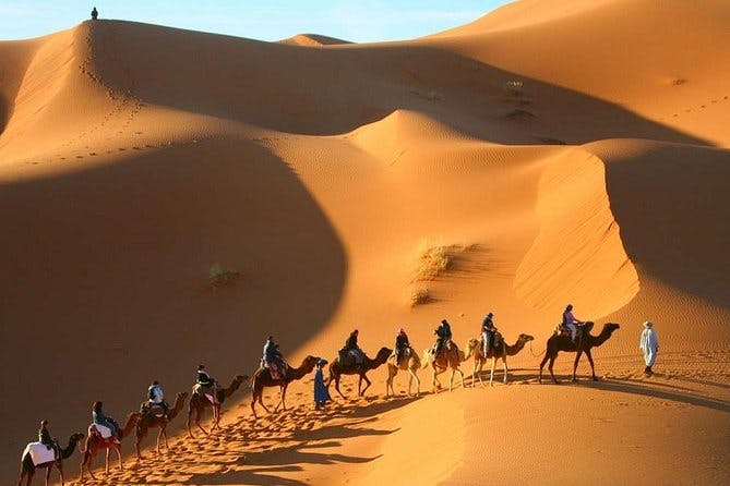 Imagen del tour: Excursión de 3 días al desierto de Marruecos