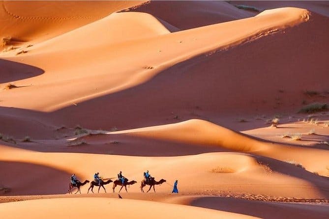 Imagen del tour: Paseo en camello y alojamiento en el desierto del Sahara Merzouga