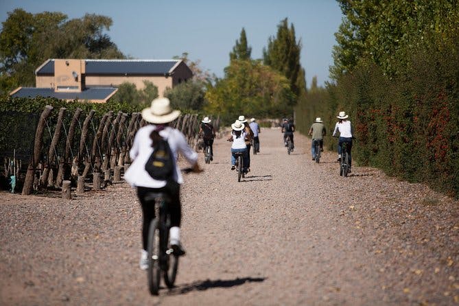 Imagen del tour: Excursión en bicicleta por la región vinícola de Mendoza