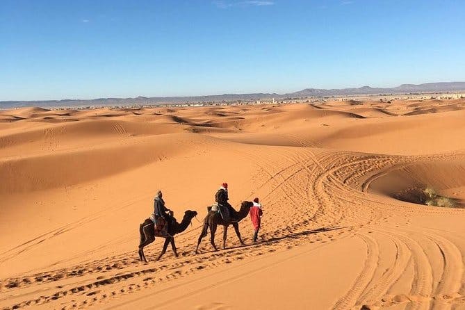 Imagen del tour: Pasar 1 noche acampando en el desierto caminando en camello