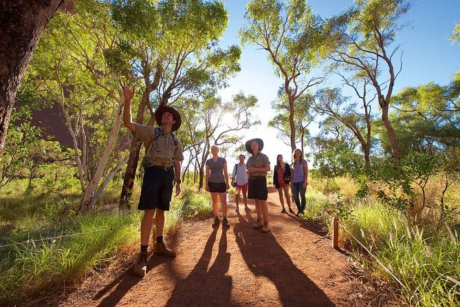 Imagen del tour: Excursión para grupos pequeños a Uluru con vistas del atardecer