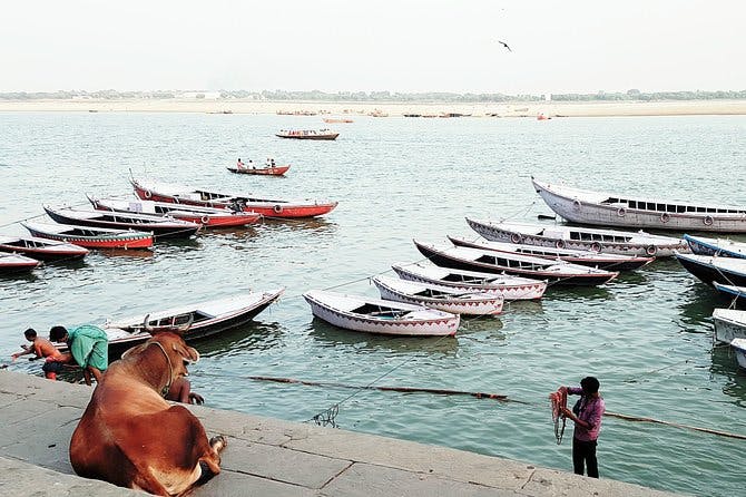 Imagen del tour: Explore los aspectos más destacados de Varanasi