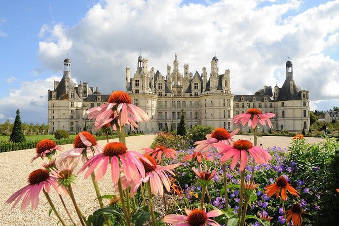 Imagen del tour: Recorrido de un día por los castillos del Valle del Loira: Blois, Cheverny y Chambord, cata de vinos y almuerzo