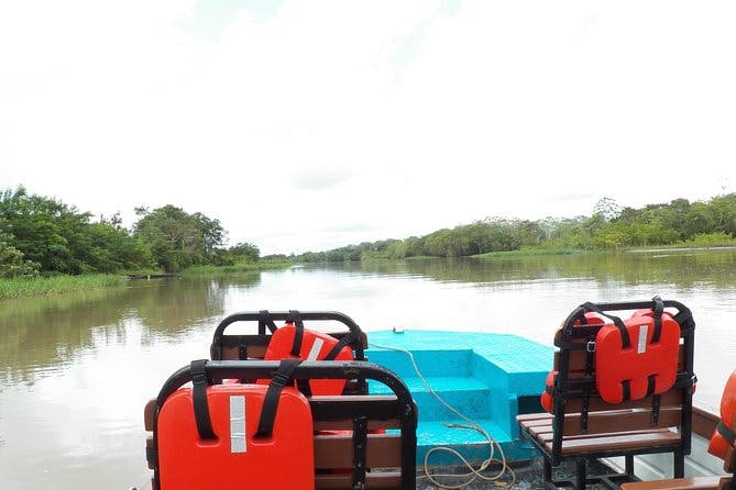 Imagen del tour: Excursión de un día al encanto amazónico en el majestuoso río amazonas