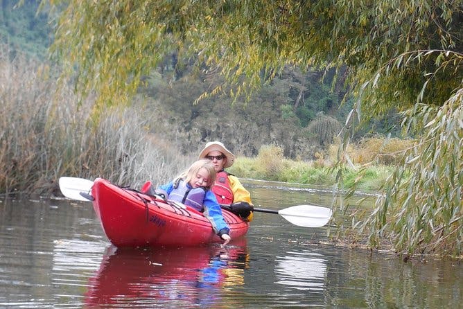 Imagen del tour: Medio Día de Kayak en el Lago Llanquihue