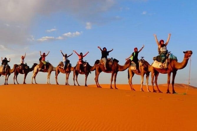 Imagen del tour: Orange Camel Luxury Camp |Excursion Camel trekking