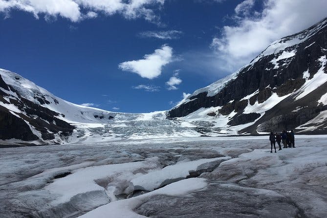 Imagen del tour: Excursión de medio día al glaciar Athabasca