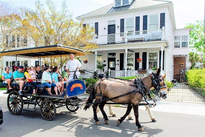 Imagen del tour: Paseo en carruaje por la histórica Charleston