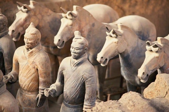 Imagen del tour: Xi'an en un día desde Xiamen por aire: guerreros de terracota, muralla y más