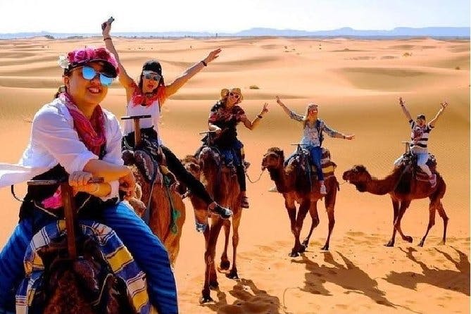 Imagen del tour: Disfrute de 1 noche de campamento bereber en el desierto del Sahara y Tour Camel Quad Sunboarding ATV