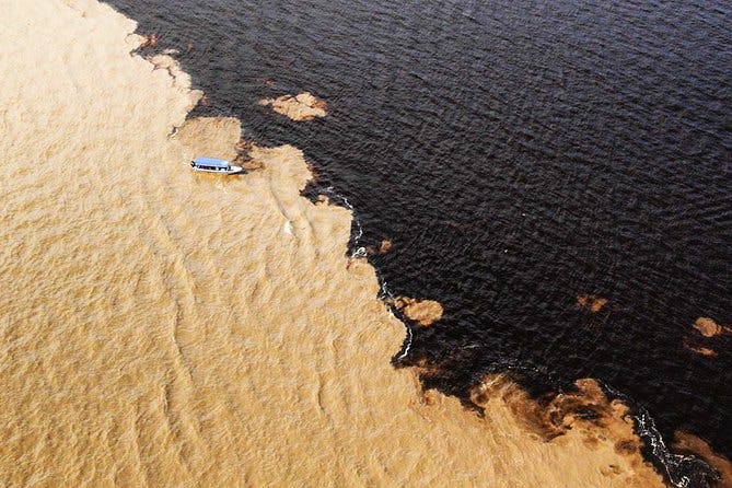 Imagen del tour: Crucero por el Río Negro desde Manaus al río Amazonas
