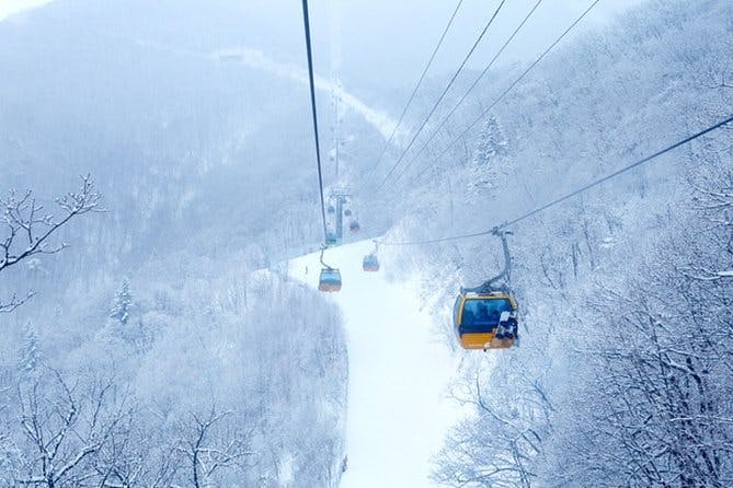 Imagen del tour: Invierno 10 días Esquí y Jeju y Mt Seorak y DMZ y Seúl al final de noviembre a enero