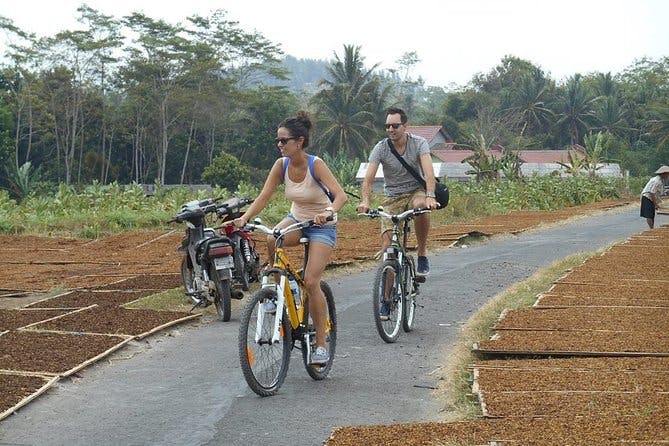 Imagen del tour: Recorrido por el pueblo de Borobudur en bicicleta