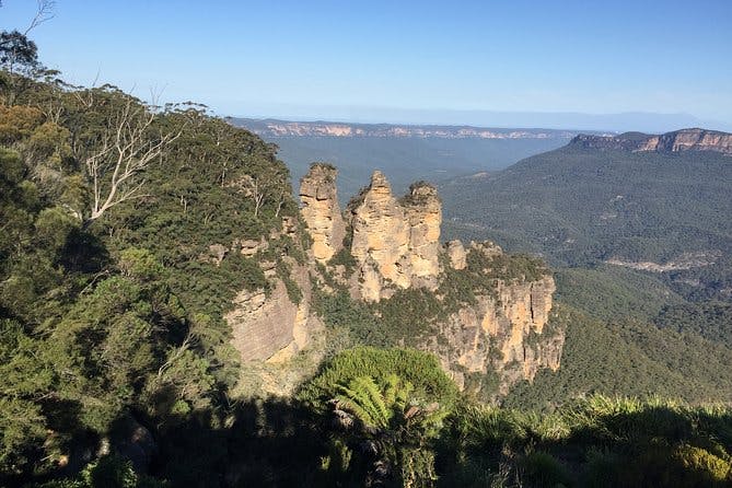 Imagen del tour: Excursión privada a las montañas azules desde Sídney y opción del parque de animales australiano Featherdale