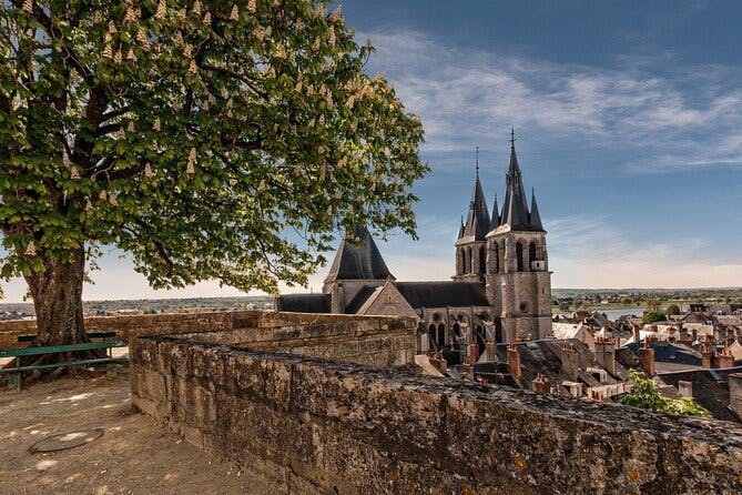 Imagen del tour: Paseo divertido en Blois - El patrimonio
