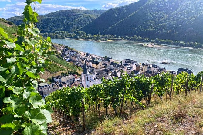 Imagen del tour: Grape Escape Rhine Valley - Tours personales de vino desde Frankfurt y Maguncia