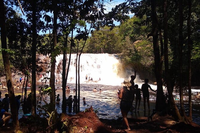 Imagen del tour: Cataratas del Amazonas Full Day y Tour Privado, Cataratas Presidente Figueiredo
