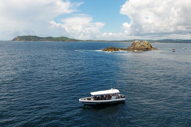 Imagen del tour: Crucero Julian Rocks Byron Bay