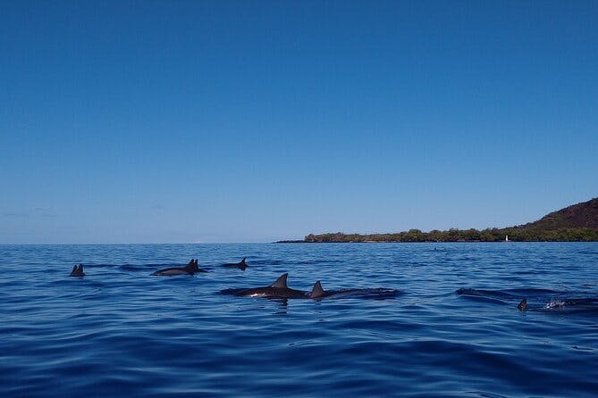 Imagen del tour: Kayak Snorkel Capitán Cook Monu. Ver delfines en la isla grande de la bahía de Kealakekua (3,5 horas)