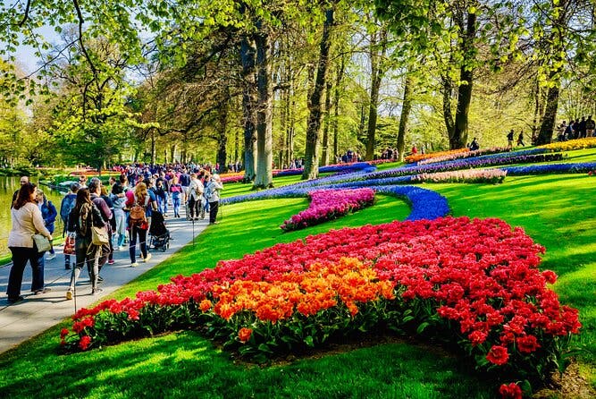Imagen del tour: Tour privado a los jardines de tulipanes de Keukenhof desde Utrecht - 2 a 7 personas