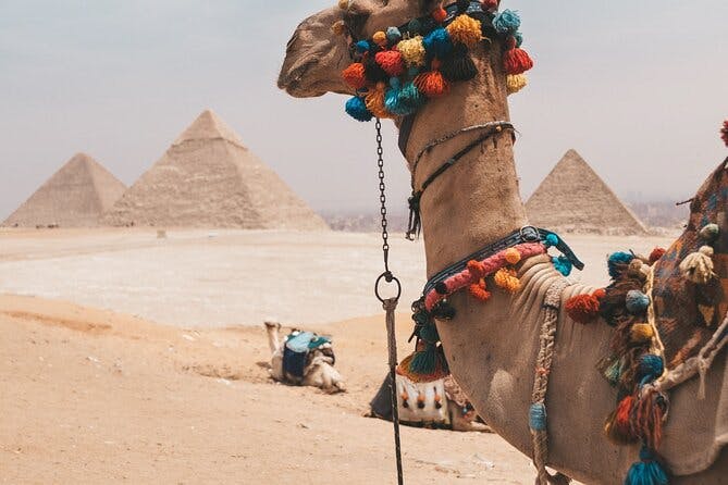 Imagen del tour: Viaje a El Cairo desde Alejandría
