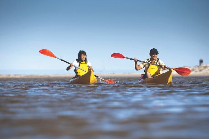 Imagen del tour: Isla canguro Kayak autoguiado en el río Harriet