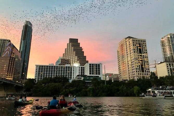 Imagen del tour: Excursión en kayak al avistamiento de murciélagos del puente de la avenida Congreso en Austin.