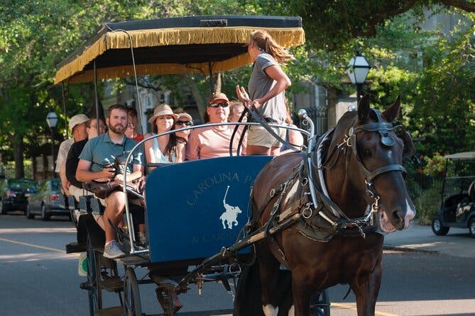 Imagen del tour: Tour histórico de caballos y carruajes de Charleston