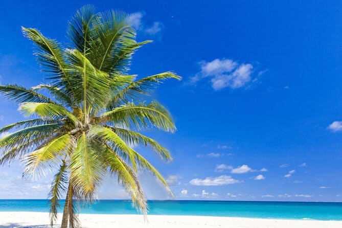 Imagen del tour: Recorrido turístico costero privado o para grupos pequeños de Barbados