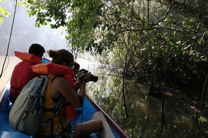 Imagen del tour: Tour a los Canales en Parque Nacional Tortuguero