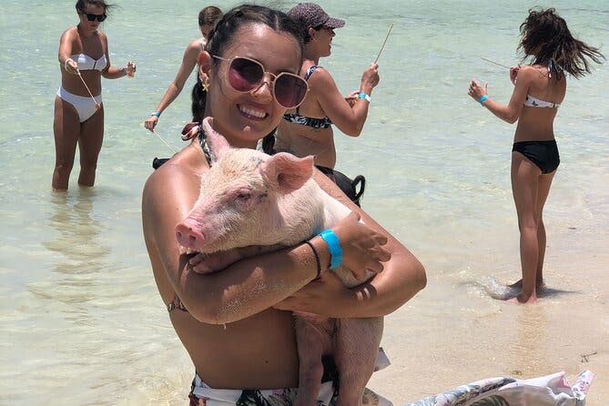 Imagen del tour: Nadar con Da 'Pigs ATV Tour (día de playa, encuentro de cerdos, almuerzo, bebidas tropicales)