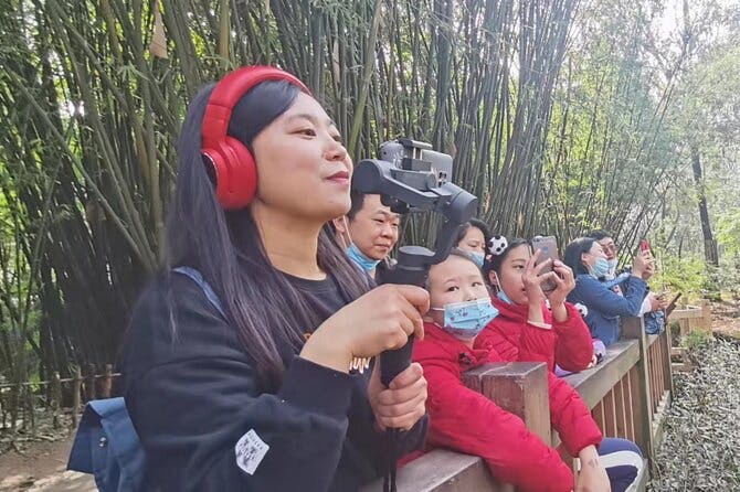 Imagen del tour: Transmisión en vivo: conozca a los pandas en la base de investigación de cría de pandas gigantes de Chengdu