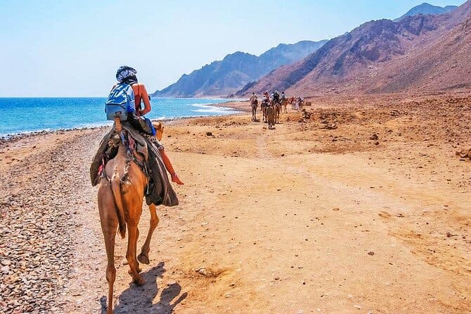 Imagen del tour: Cañón, agujero azul, esnórquel y paseo en camello en la ciudad de Dahab desde Sharm Sinai