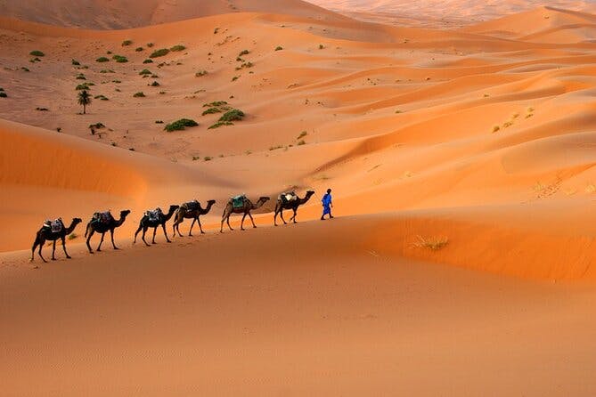 Imagen del tour: Camel trekking and 1 night in desert camp merzouga