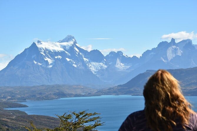 Imagen del tour: Tour privado de día completo a Torres del Paine, con salida desde Punta Arenas
