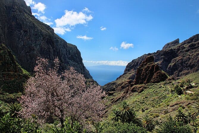 Imagen del tour: Excursión al Parque Nacional del Teide de Tenerife que incluye el Volcán Teide y Masca