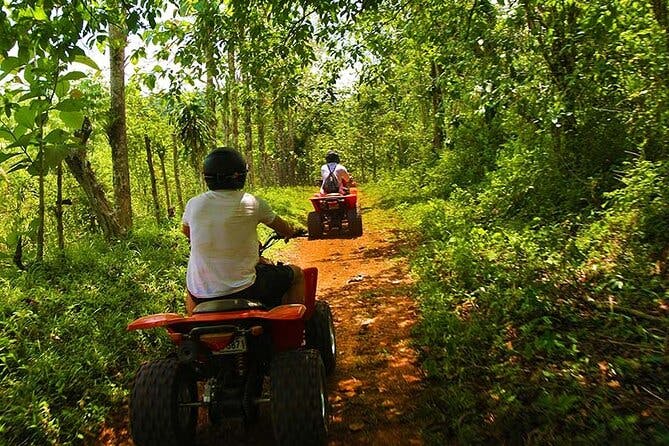 Imagen del tour: Recorrido en quad ATV de 3 horas a través del bosque de Costa Rica