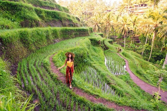 Imagen del tour: Recorrido privado en Bali Todo sobre Ubud