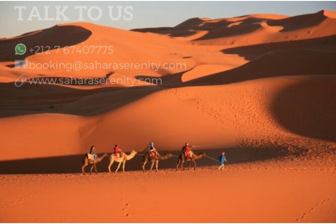 Imagen del tour: El mejor paseo nocturno en camello Merzouga