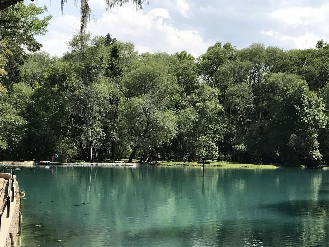 Lago en el Bosque de las Truchas