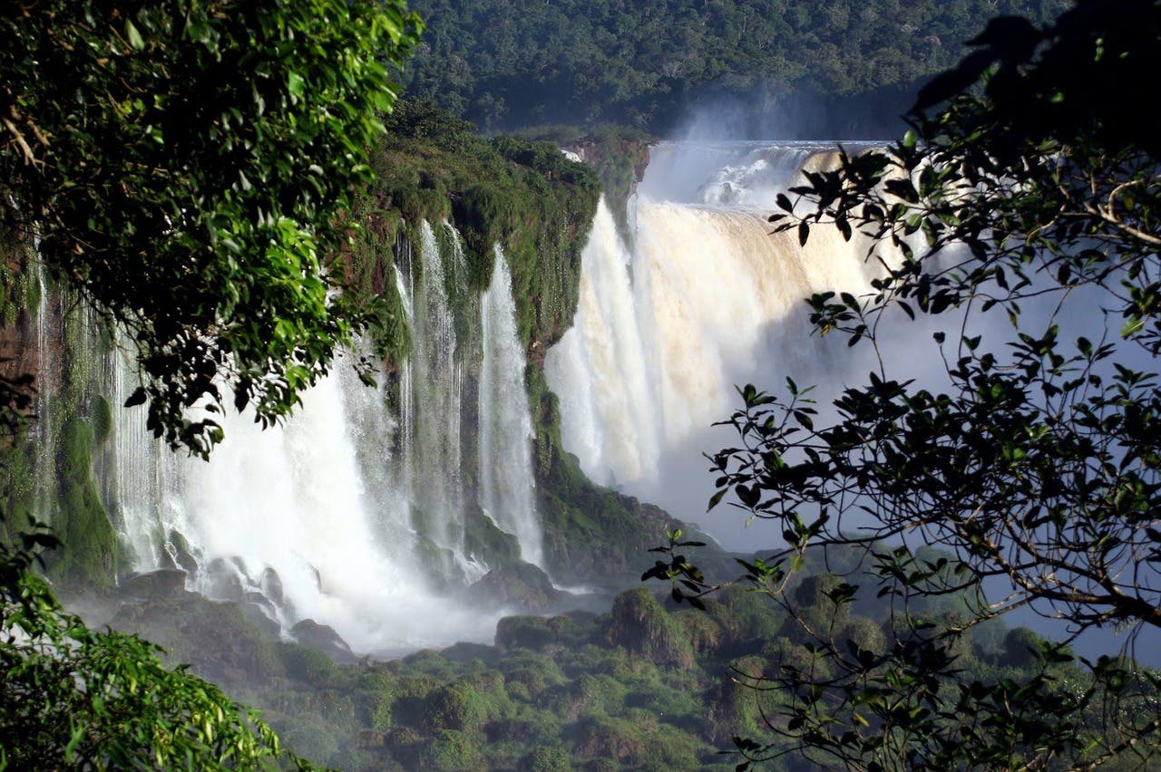 Bosque en las cataratas de Iguazú